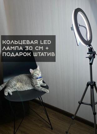 Кільцева led лампа 30 см +подарунок штатив на вибір/макіяж/фото