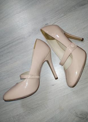 Туфлі taccardi 37