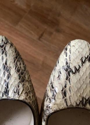 Шикарні туфлі човники зі шкіри змії-dune5 фото