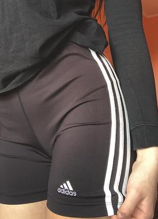 🦾шорты adidas original 🦾