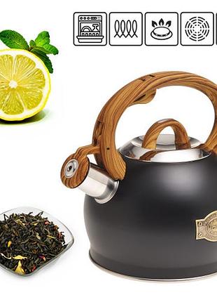 Чайник kamille 2,0 л з нержавіючої сталі зі свистком і ручкою "soft touch" (чорний)