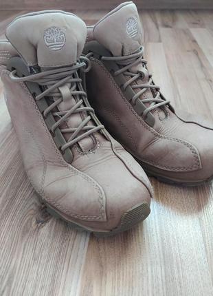 Красовки timberland1 фото