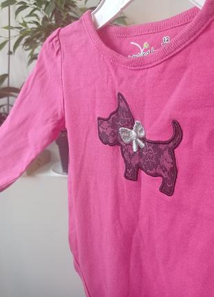 Бодік jumping beans 2