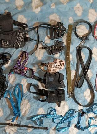 Зоотовары намордник шлея поводок ошейник читайте описание
