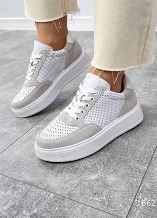 Кеди