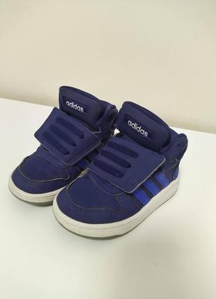 Хайтопы adidas1 фото