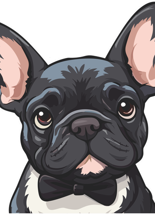 Наклейка кольорова вінілова самоклеюча декоративна на автомобіль "бульдог. собака. пес"