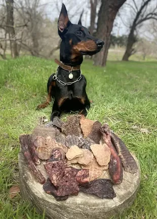 Печінка для собак від woofsnecks. 100 грам.2 фото