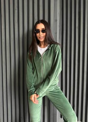 Велюровий спортивний костюм жіночий весняний на весну базовий демісезонний чорний сірий бордовий бургунді зелений бежевий синій хакі з капюшоном батал