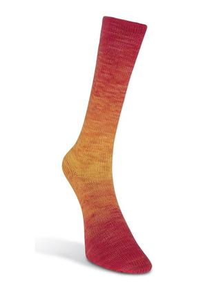 Шкарпеткова пряжа laines du nord watercolor sock, 202