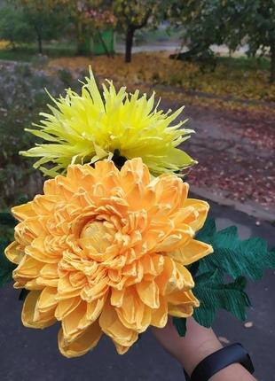 Жовта хризантема2 фото