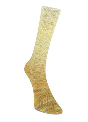 Шкарпеткова пряжа laines du nord paint gradient sock, 17