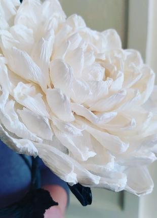 Хризантема біла