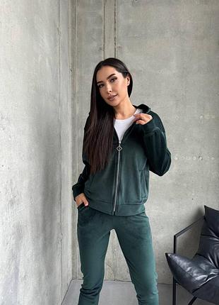 Велюровий спортивний костюм жіночий весняний на весну базовий демісезонний чорний сірий бордовий бургунді зелений бежевий синій хакі з капюшоном батал