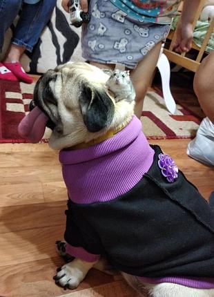 Одежда для собак 3