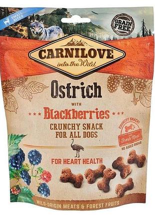 Ласощі carnilove crunchy ostrich with blackberries — беззернове для собак усіх порід із м'ясом страуса та