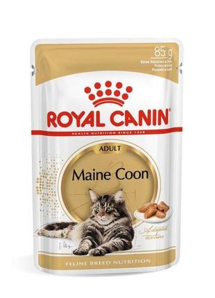 Royal canin maine coon adult шматочки паштету в соусі для котів породи мейн-кун - 85г