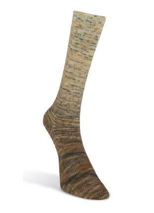 Носочная пряжа laines du nord paint gradient sock, 14