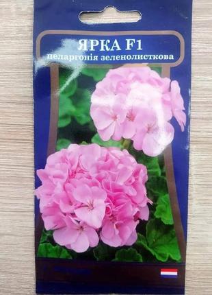 Насіння яскрава пеларгонія зеленолисткова ярка f1 5 насінь в оболонці