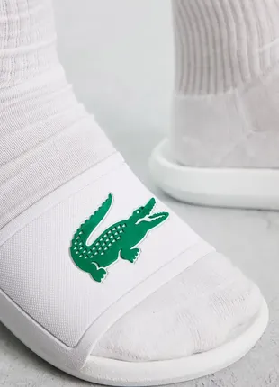 Шлепанцы, тапочки lacoste3 фото