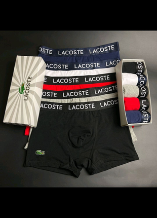 Набір нижньої білизни від lacoste2 фото