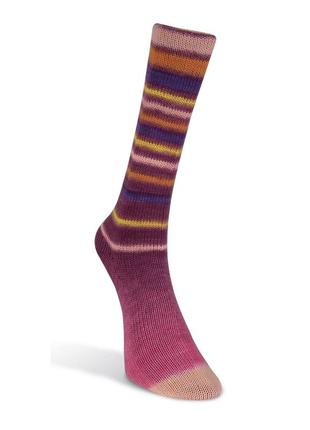 Носочная пряжа laines du nord infinity sock, 14