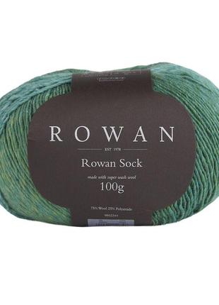 Носочная пряжа rowan sock, 0031 фото