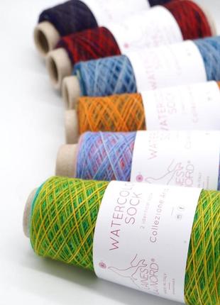 Шкарпеткова пряжа laines du nord watercolor sock, 1033 фото