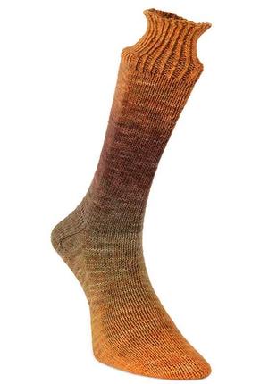 Носочная пряжа laines du nord watercolor sock, 103