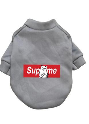 Худи для котов и кошек pet style "supreme" серое