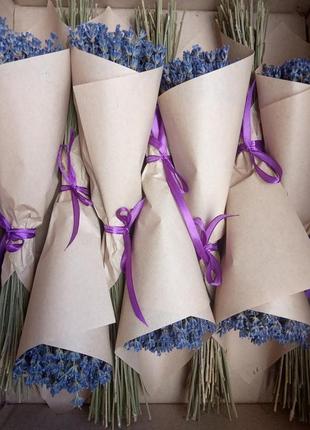 Лаванда букет сухоцвіт 35-40 см