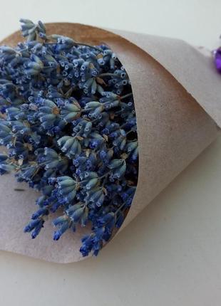 Монобукет лаванды