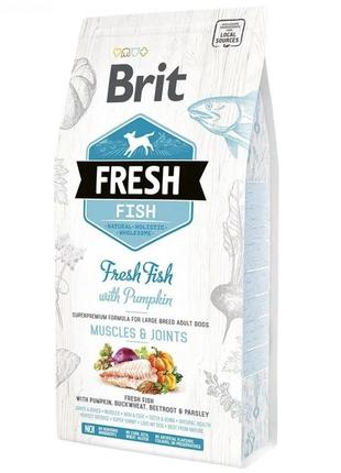 Brit fresh adult large сухий корм для дорослих собак великих порід з рибою і гарбузом — 12 кг