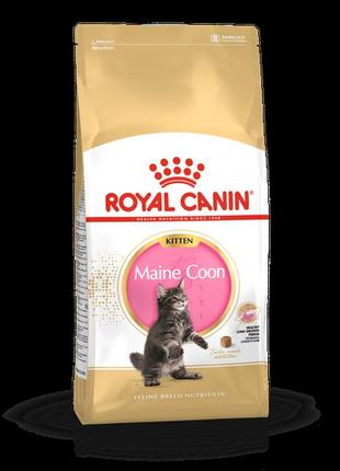 Royal canin maine coon kitten для кошенят породи мейн-кун — 400 г