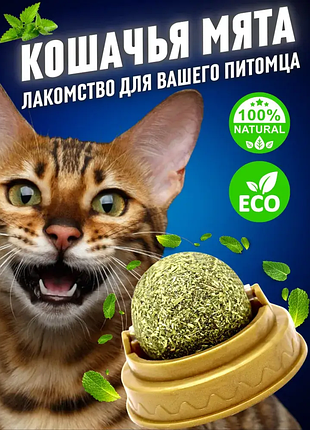 Іграшка для кота, котяча кулька, м'ята для кота catnip catnip