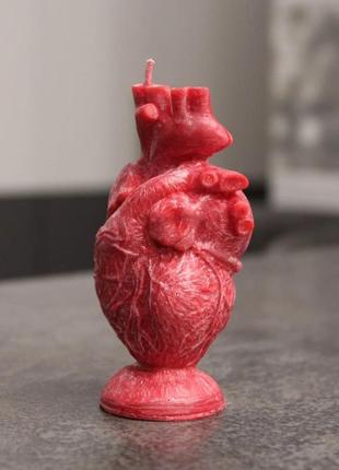 Свічка "анатомічне серце" із пальмового воску3 фото
