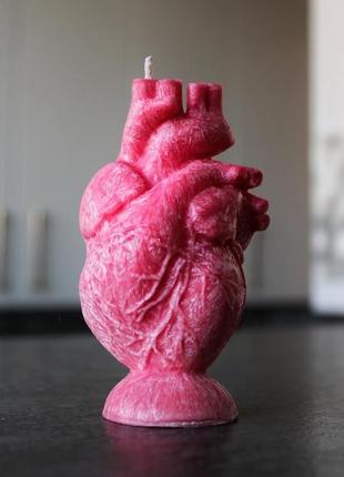 Свічка "анатомічне серце" із пальмового воску4 фото