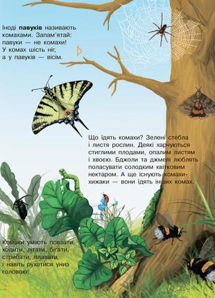 Детская энциклопедия про насекомых 614014 для дошкольников6 фото