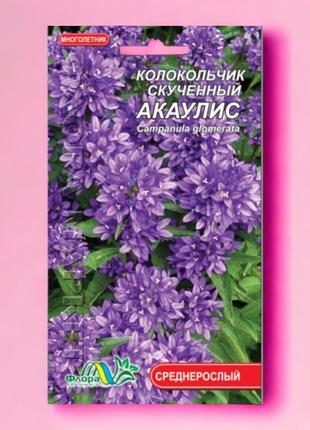 Колокольчик скученный акаулис, многолетнее растение высотой до 90 см, семена цветы 0.05 г