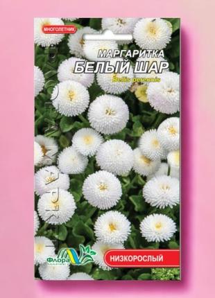 Маргаритки біла куля, багаторічна рослина, насіння квіти 0.03 г