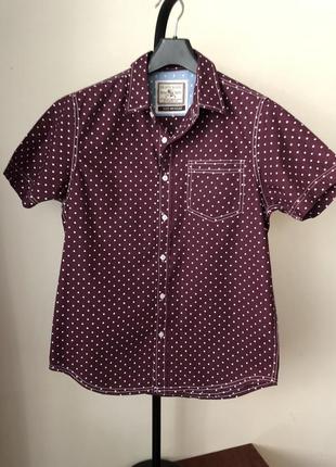 Brave soul тенниска рубашка 70-е в горошек с отстрочкой2 фото