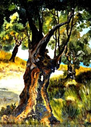 Картина маслом оливковая роща  50х70см пейзаж живопись2 фото