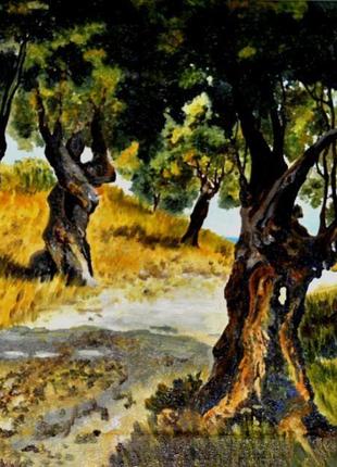 Картина оливковий гай 50х70см пейзаж живопис1 фото