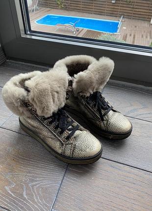 Zacchino d'oro черевики зимові устілка 22,5 см 2