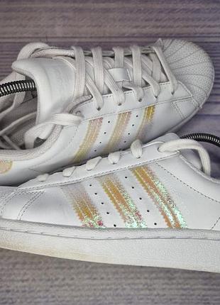 Кеды adidas superstar