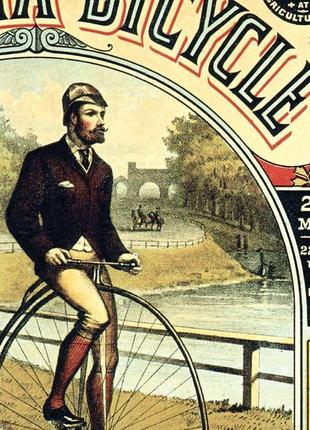 Плакат columbia bicycle