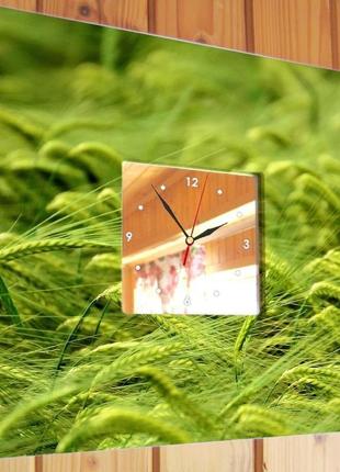 Оригинальные часы для кухни "колоски пшеницы на поле" (c00584)2 фото