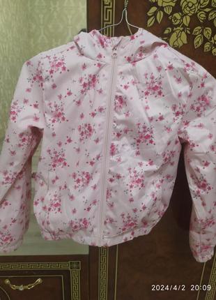 Ветровка красивая нежная расцветка