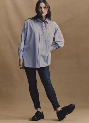 Бавовняна сорочка в смужку біло-голуба сорочка рубашка zara базовая рубашка оверсайз рубашка в полоску свободная рубашка