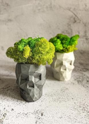 Стильний бетонний горщик з мохом для декору3 фото